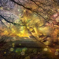 New Moon Call ~ Menstruation: A Monthly Sabbath Invitation