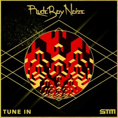 RudeBoyNoize - Space Riddm (PartyWave Remix)
