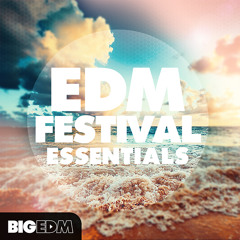 EDM Festival Essentials [I'm the DJ Mobile App]