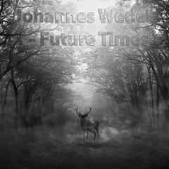 Johannes Wedel - Future Times