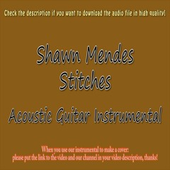 Shawn Mendes - Stitches (Acoustic Instrumental)
