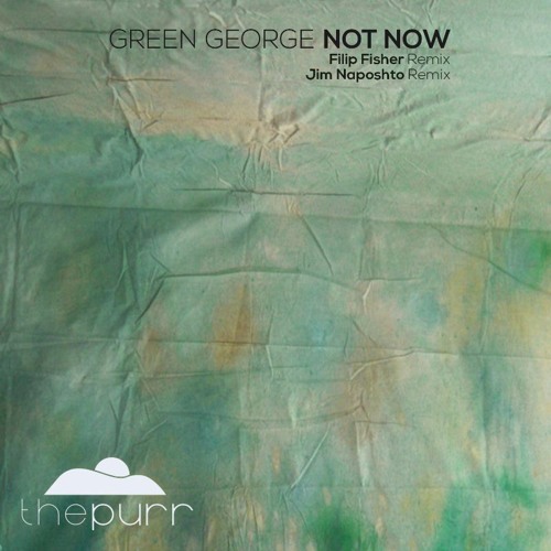 Green George - Not Now (Original Mix)