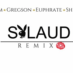 "SALAUD" Remix  Feat. Maxim, Euphrate & Shine Baby
