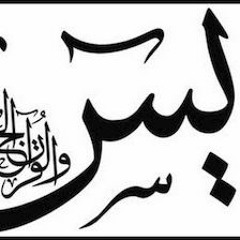 تفسير سورة يس--الجزء ٧