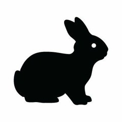 White Rabbit