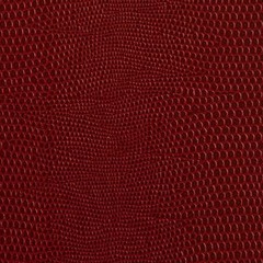 War - (W.Cooper Petition reading)