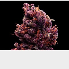 Darkk Grape!!!! Written by Gangsta190