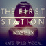 Mystery (Kate Wild Vocal)
