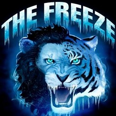 The Freeze - Tigermoth