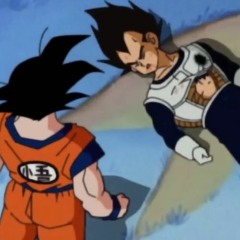 Saiyan's Epilogue