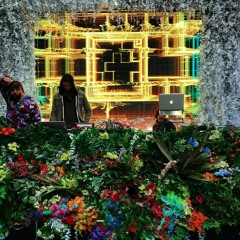 Cosmic Jungle (NYE 2015)