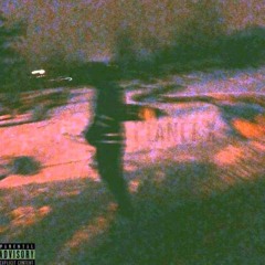 XTHEDOLPHIN x $UICIDEBOY$ – $UICIDEWAVE