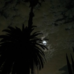 A Shoegaze to Remember