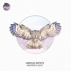 Far-Gone-Love (OUT NOW on LIQUID TONES)