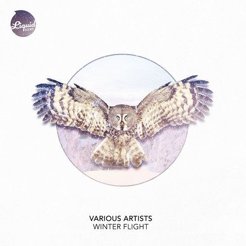 Far-Gone-Love (OUT NOW on LIQUID TONES)