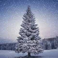 Let's have a green Christmas