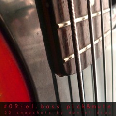 Snapshot 09 Electric Bass Pick And Mute