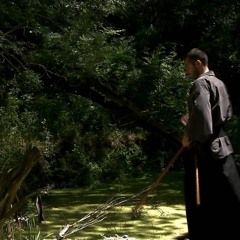 raku feat christu - aikido ( cu George Vintila )