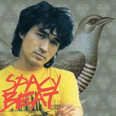 Spaсy Beat -  Кукушка (ЦОЙ Bboy Mix)