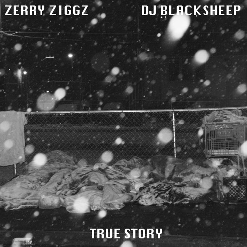 True Story (Prod. DJ Blacksheep)