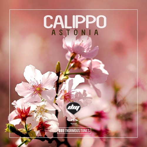Calippo – Astonia (Original Mix)