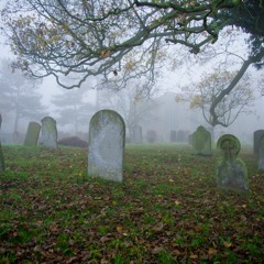 Demonz DEMO [PROD: DICE ]