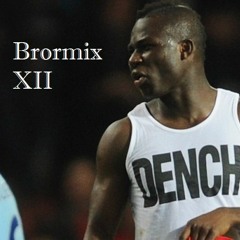 Brormix XII