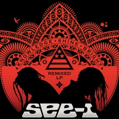 Real Steel (MikkiM Remix)
