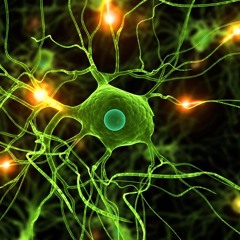 Adhaava & Neurotrancemissor - 147 A# (Preview sounds)