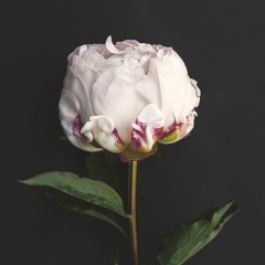 Let U Go (DJ Asparagus Remix)