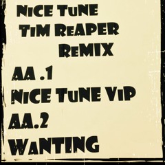 Nice Tune (Tim Reaper remix) Vinyl only Release A1 Tim reaper Remix AA1 Vip AA2 Wanting