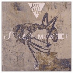 Program -The Violence