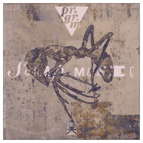 Program -The Violence