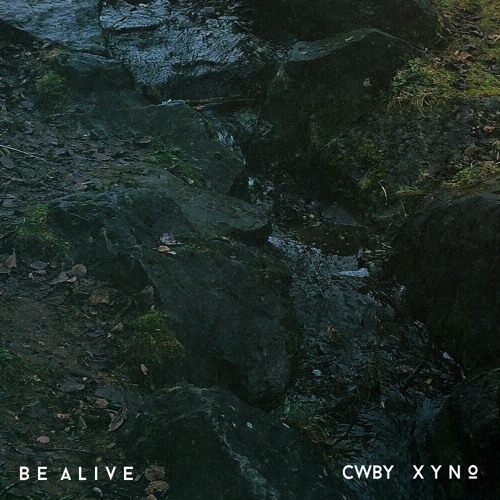 CWBY x X Y N O - Be Alive