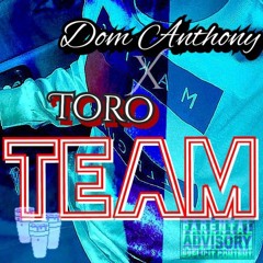 TEAM Ft Toro