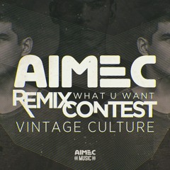 Vintage Culture - What U Want (Basscode & Vanessa Heinz Remix)