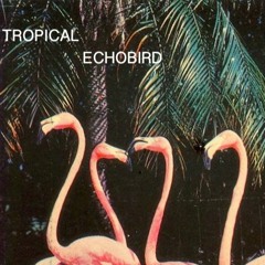 Hypnobird (сut)
