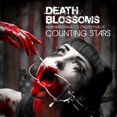 Counting Stars / One Republic (Metal Mix)
