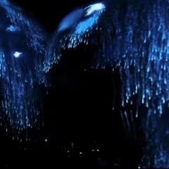 Arca - Harness