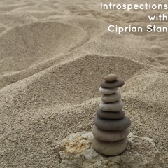 Introspections with Ciprian Stan