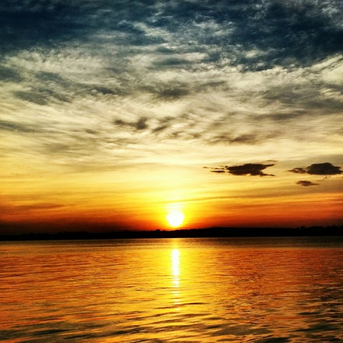 Estonia S.O.S  loop track /drums/bass/guitar/sample/58