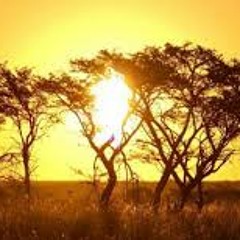 Excision & Dion Timmer  - Africa