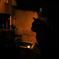 Elektromanyetik Hayaller (retake)