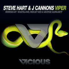 Steve Hart & J Cannons - Viper (George Gurdjieff Remix)