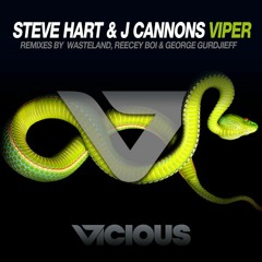 Steve Hart & J Cannons - Viper [OUT NOW]