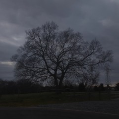 Living Room Song (The Wonder Years cover)