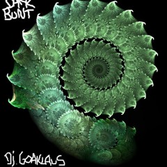 Darkbunt - Dj.GoaKlaus (Zaubertrank.Rec)