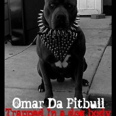 (THROWBACK SONG) Omar Da Pitbull ft Snapp - Uon Want It