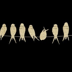 Give It To Me  w/ the Supertokes