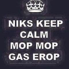 techhouse master setje mop mop gas erop
